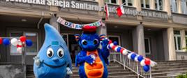 Wejście do budynku Wojewódzkiej Stacji Sanitarno-Epidemiologicznej w Krakowie. Przed szarym budynkiem, do którego prowadzą bardzo szerokie kamienne schody, dwie niebieskie maskotki. Jedna przypominająca kroplę wody, druga smoka z charakterystycznym dla Krakowa czerwonym nakryciem głowy. Na barierach przy schodach białe, niebieskie i czerwone balony.
