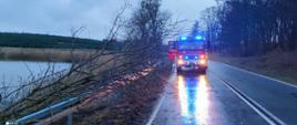 Na fotografii znajduje się powalone drzewko oraz droga. Na drodze stoi wóz strażacki z włączonymi niebieskimi sygnałami świetlnymi. Po lewej stronie znajduje się staw, a po prawej stronie wzniesienie i drzewa