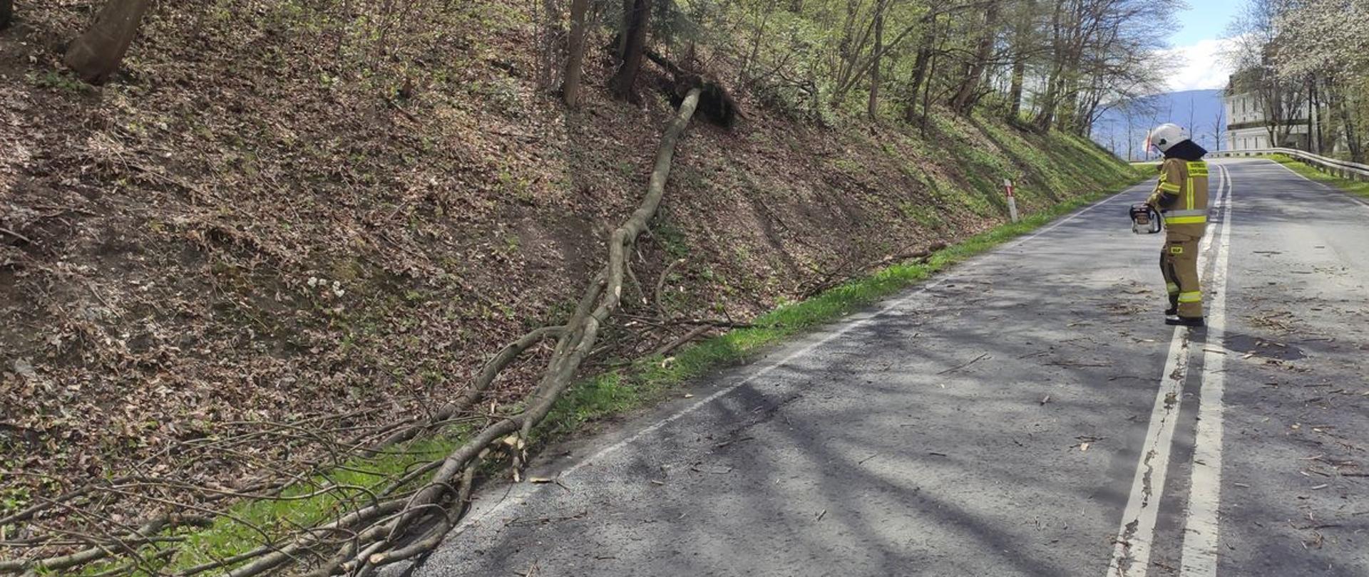 Drzewo powalone na brzegu obok drogi. Część drzewa na jezdni. Na drodze stoi strażak.