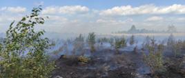 Pożar lasu przy miejscowości Przybrda