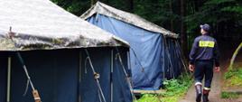 Po lewej stronie namioty harcerskie. Po prawej stronie (widoczny od tyłu) strażak PSP sprawdzający stan drzewostanu nad namiotami.
