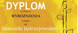 Dyplom ma żółte tło z czarnymi rysunkami i napisami. Na górze znajduje się logo konkursu – stylizowany napis „Pleszewski Konkurs Fletowy” z elementami muzycznymi. Po prawej stronie umieszczono logo organizatora – Państwowej Szkoły Muzycznej w Pleszewie. Na środku widnieje duży biały napis „DYPlOM”, a poniżej czarny tekst informujący o wyróżnieniu oraz dane laureatki. Po prawej stronie dyplomu znajduje się rysunek fletu oplecionego liśćmi. Pod informacjami o uczennicy wymieniono skład komisji oceniającej: dr Alicja Molitorys, mgr Dorota Karaniewicz-Biedny i mgr Zuzanna Borowiecka, których podpisy są umieszczone pod nazwiskami. Na dole widnieją logotypy sponsorów i partnerów, takich jak Miasto i Gmina Pleszew, Powiat Pleszewski, Azumi, Melody Bags i inne. Na samym dole podano miejsce i datę wystawienia dyplomu: „Pleszew, 29 marca 2025 r.”
