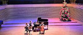 Na środku estrady sali koncertowej siedząc na krzesłach kobieta gra na flecie, po prawej stronie mężczyzna gra na wiolonczeli, za nimi na fortepianie gra kobieta. Z tyły po prawej stronie stoi udekorowana choinka. Z przodu widać od tyłu widownię z publicznością.