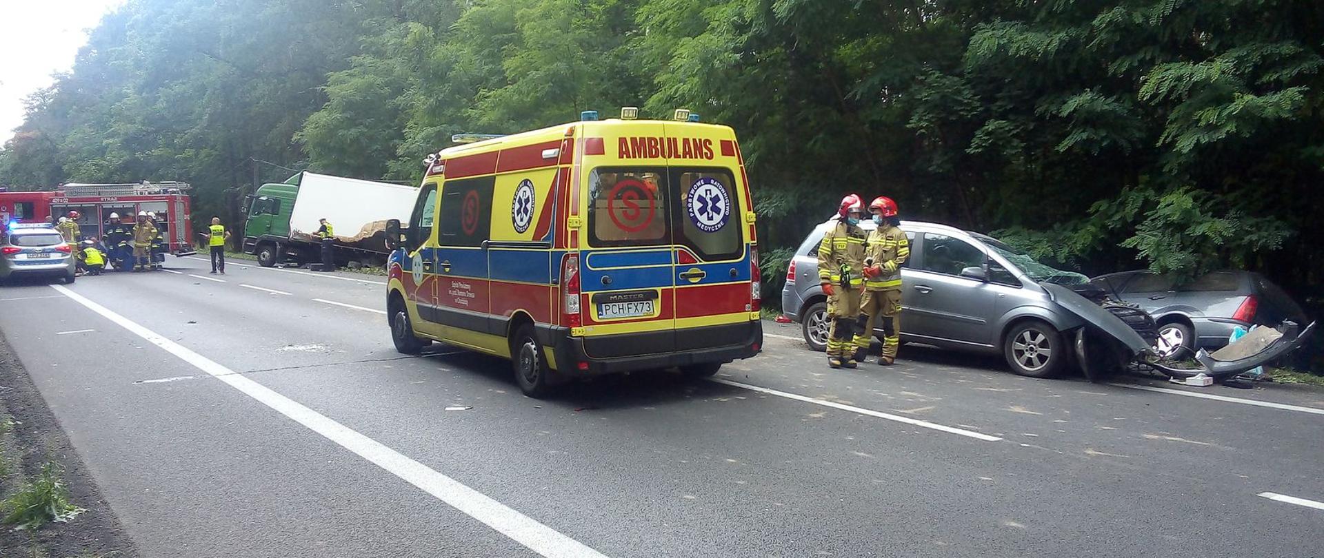 Zdjęcie przedstawia uszkodzone w wyniku zderzenia dwa samochody osobowe, samochód ciężarowy stojący w przydrożnym rowie oraz ambulans i samochód pożarniczy.
W tle strażacy, jezdnia oraz las.