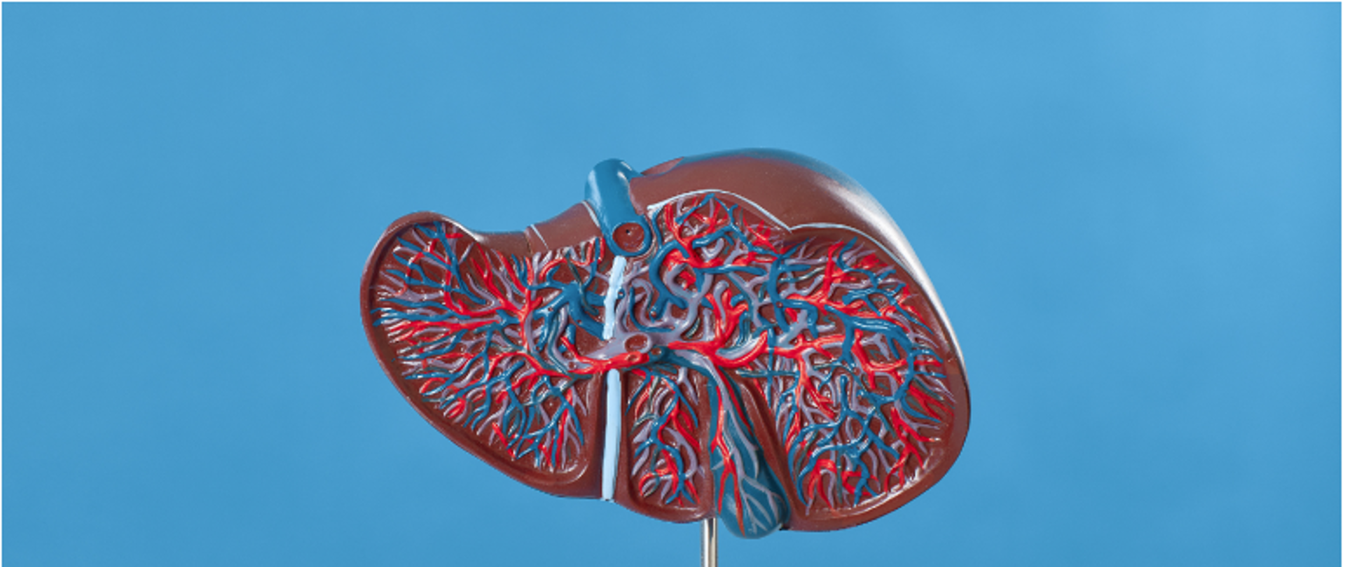 Kampania Uwaga na WZWA