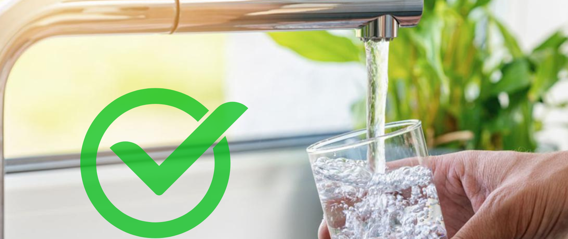 przydatność wody do spożycia