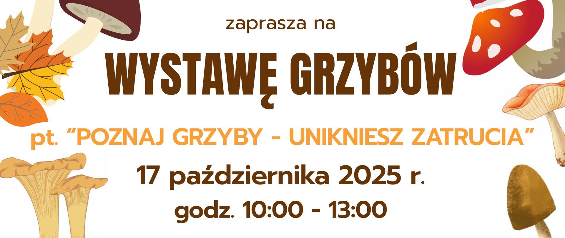 Plakat_wystawa_grzybów_2025