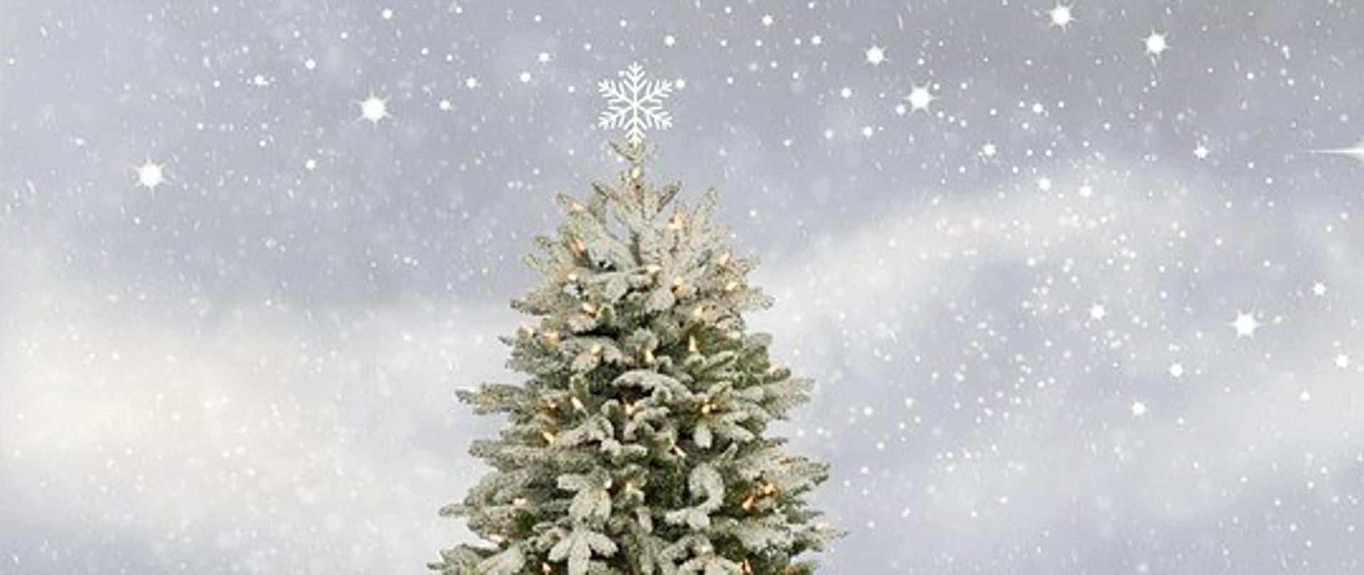 Zdjęcie przedstawia zaśnieżoną choinkę ze światełkami na szarym gwieździstym tle 