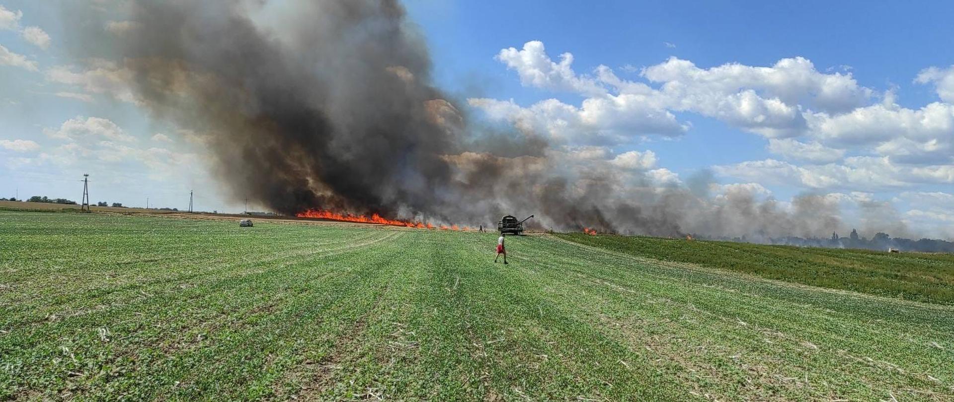 Pożar zboża na pniu widziany z daleka. Po środku widać kombajn. Widać płomienie i duże ilości dymu
