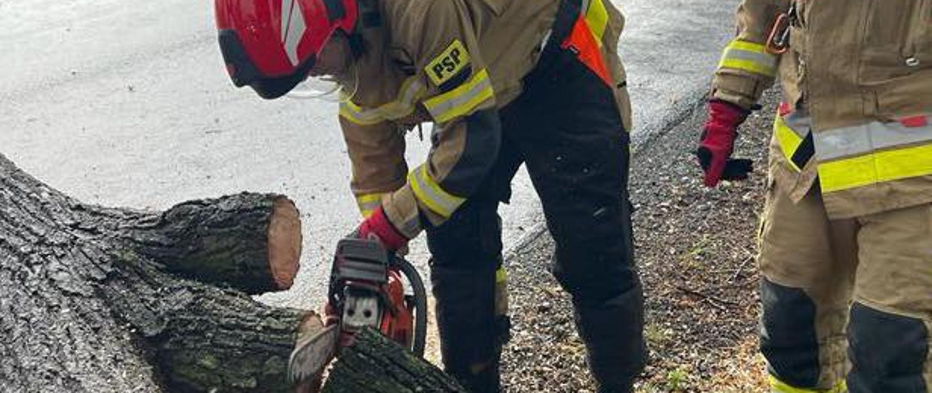 Strażacy Państwowej Straży Pożarnej w ubraniu specjalnym (bojowym) w hełmach na głowach usuwają połamane drzewo na drodze. Drzewo przewróciło się wskutek przejścia intensywnego frontu burzowego. Strażak pracujący pilarką do drewna wyposażony dodatkowo w tzw. spodnie pilarza. Strażak operuje pilarką do drewna, obcinając kawałek konaru aby udrożnić drogę. W tle widoczna droga, na której ustawione są stożki ostrzegawcze.
