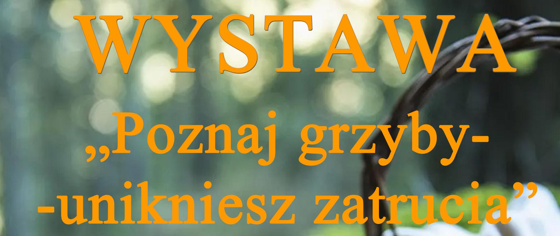 Plakat Poznaj grzyby - unikniesz zatrucia 2025