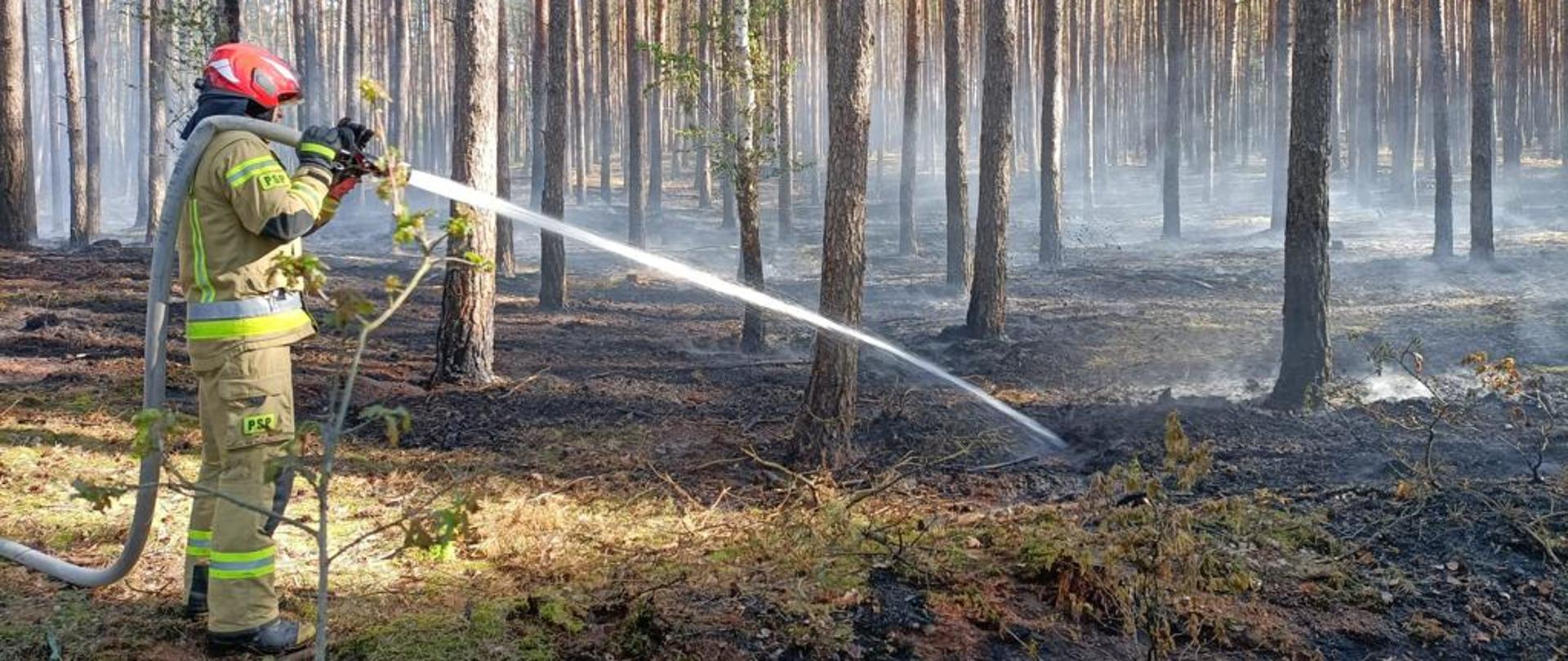 Na zdjęciu widzimy strażaka podczas dogaszania pogorzeliska.