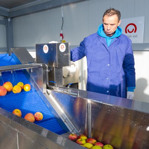 Mężczyzna przygląda się procesowi oczyszczania jabłek w maszynie, która jest oznaczona nalepką z logo polska pomoc