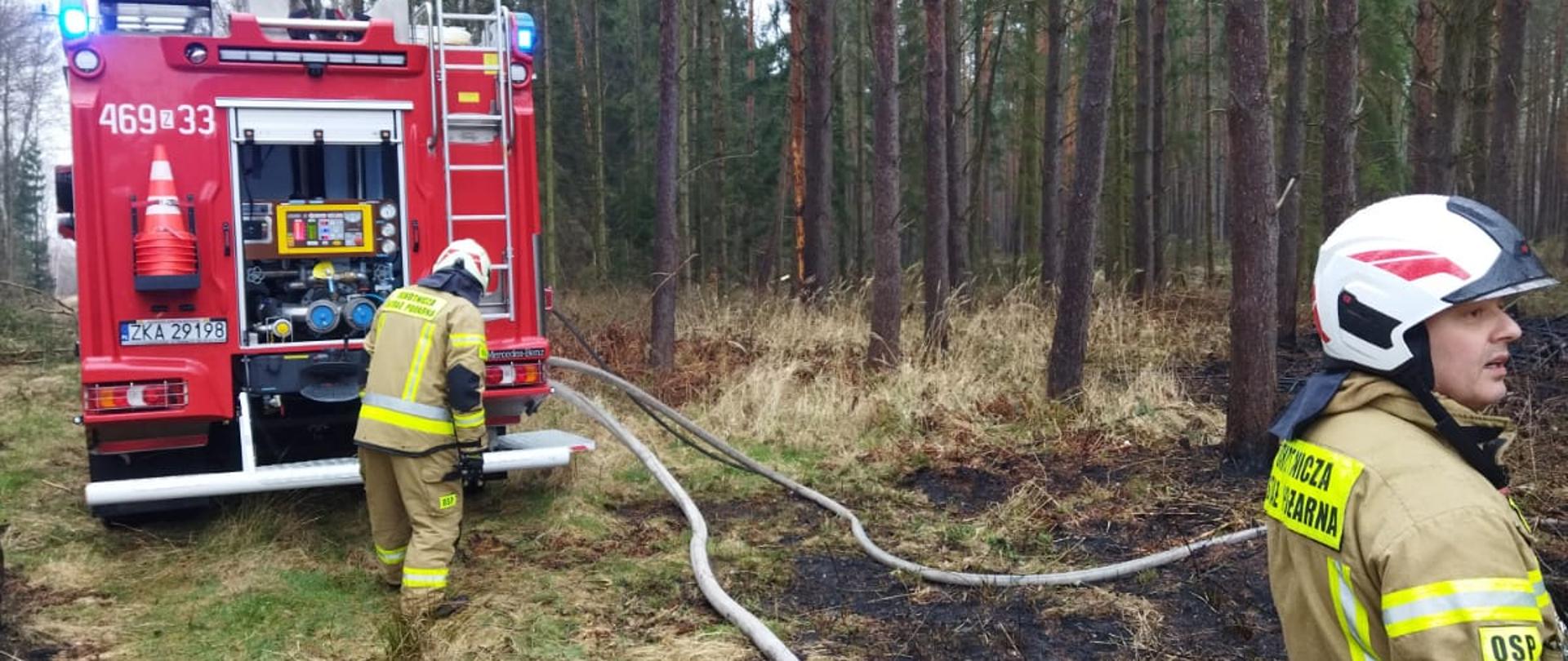 Pojazd straży pożarnej oraz strażacy w czasie działań gaśniczych w lesie