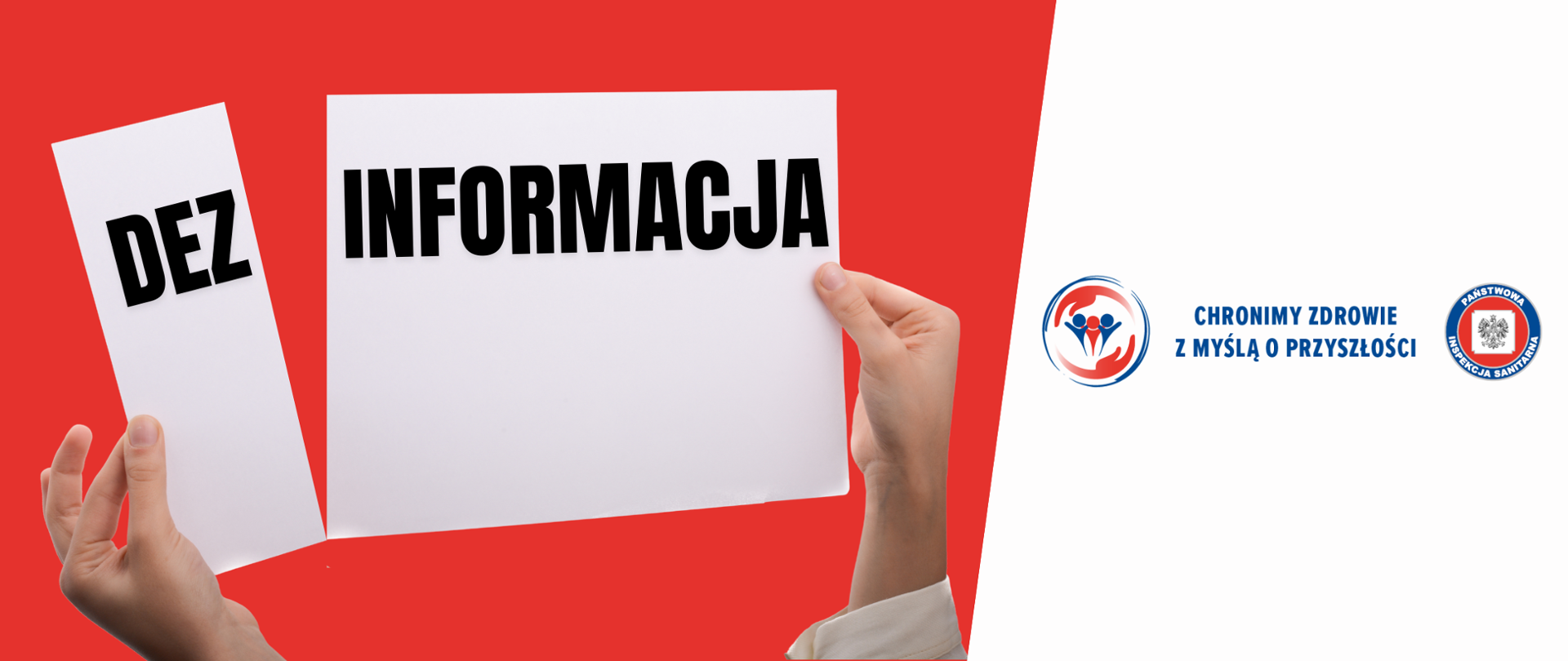 dezinformacja www 2