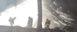 Zdjęcie przedstawia strażaków stojących na poddaszu budynku, którzy dogaszają tlące się siano. Część dachu uległa zniszczeniu.
