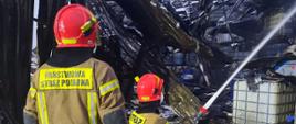 dwóch ratowników ubranych w ubrania bojowe państwowej straży pożarnej barwy jasnobrązowej z pasami odblaskowymi na plecach nogawkach i mankietach oraz z dużym napisem państwowa straż pożarna na plecach na głowie mają hełm barwy czerwonej z przyłbicą oraz rękawice na dłoniach jeden strażak przyklęknął na prawym kolanie trzyma w ręku wąż strażacki barwy czerwonej zakończony prądownicą i podaje prąd wody na zgliszcza pożaru w tle zawalona konstrukcja dachu i widoczne pojemniki z chemikaliami ratownicy stoją w wodzie z dodatkiem piany jeden z ratowników stoi za plecami drugiego strażaka i przygląda się na zgliszcza pożaru