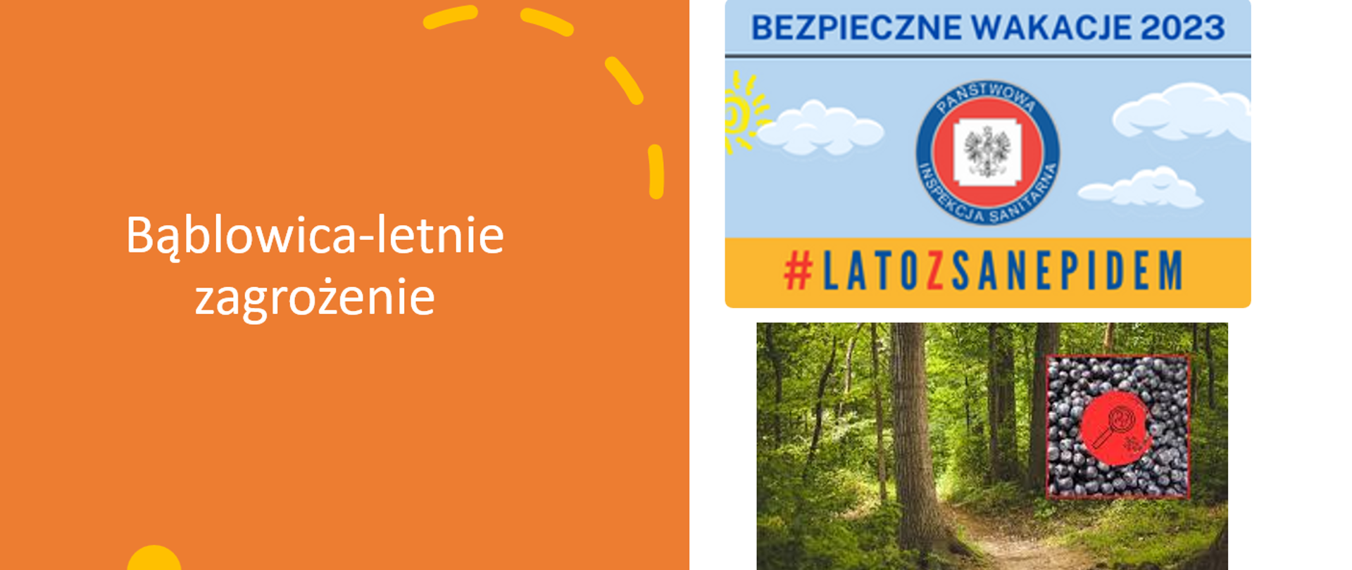 Bąblowica – letnie zagrożenie