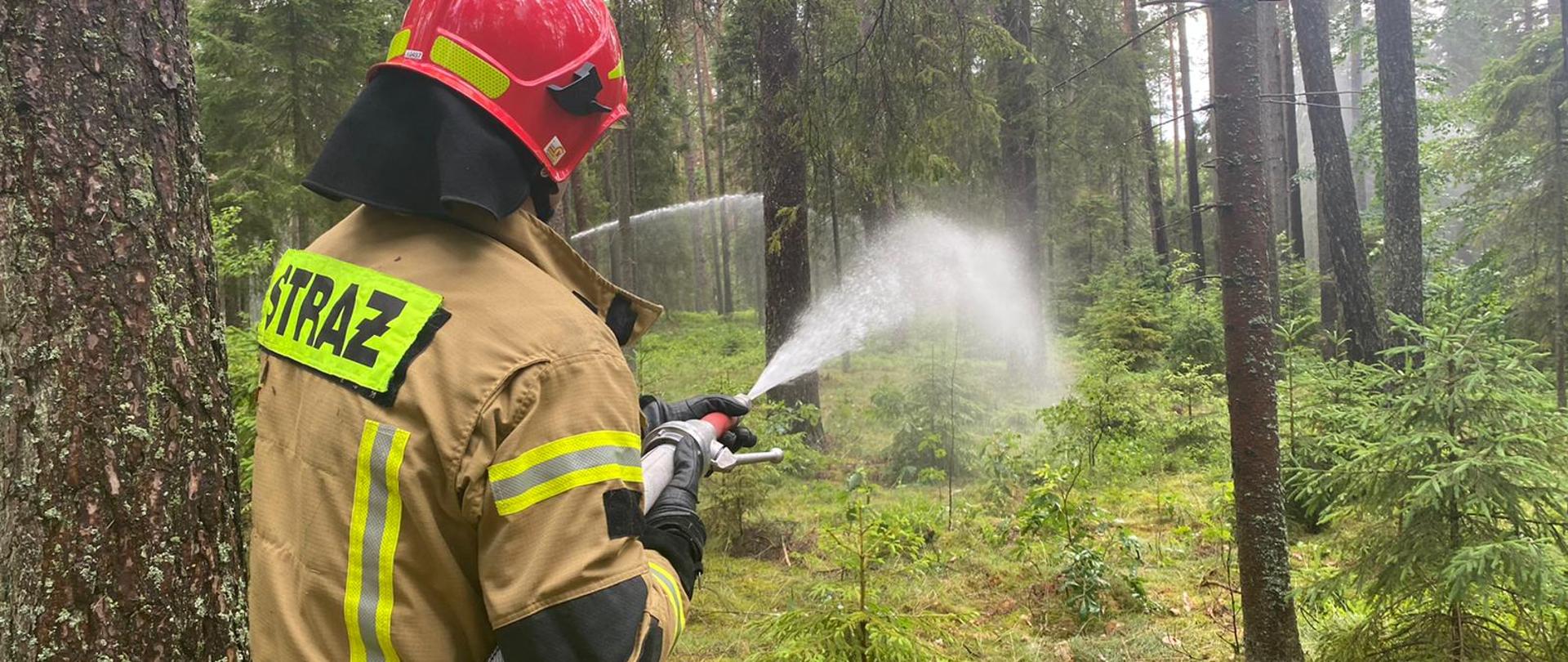 Na zdjęciu widoczny strażak Ochotniczej Straży Pożarnej podający prąd gaśniczy na ognisko pożaru