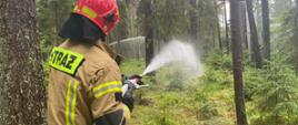 Na zdjęciu widoczny strażak Ochotniczej Straży Pożarnej podający prąd gaśniczy na ognisko pożaru