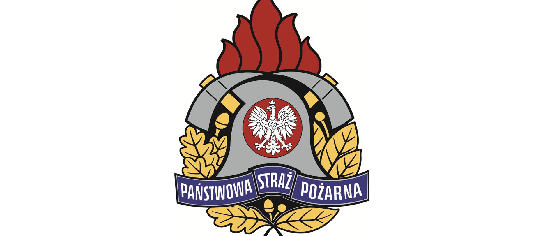 LOGO PSP 