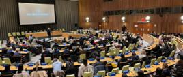 Zone of Interest - screening w ONZ