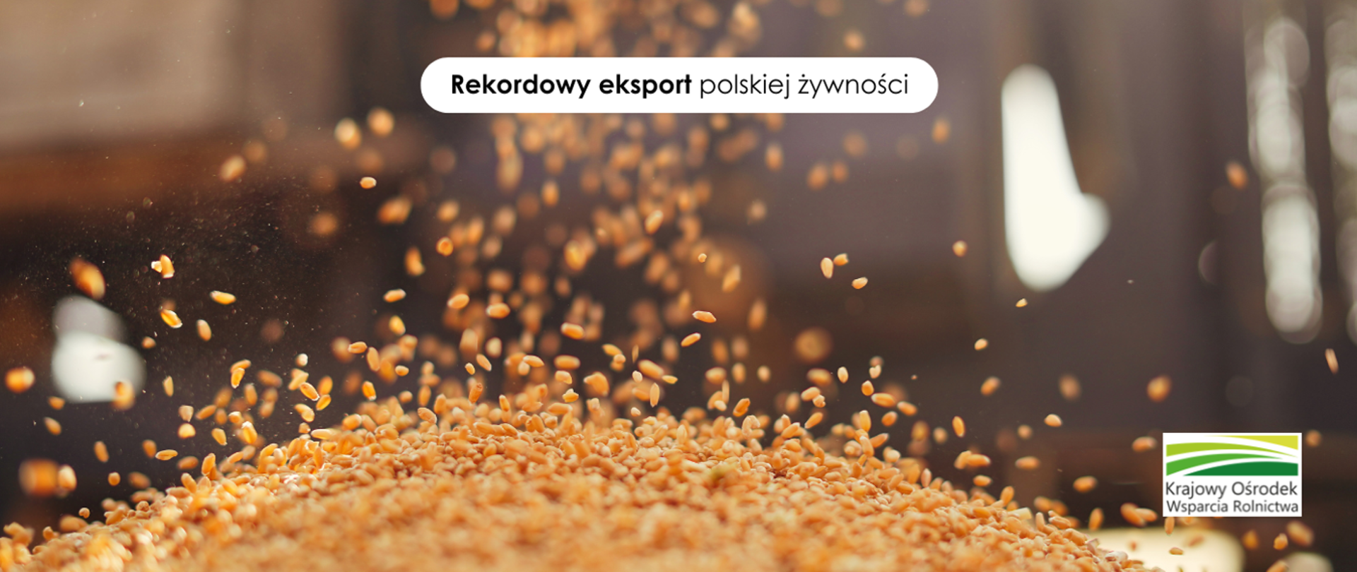 Record Polish Food Exports