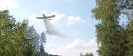 Zdjęcie przedstawia strażaków gaszących pożar lasu.
W tle las.
