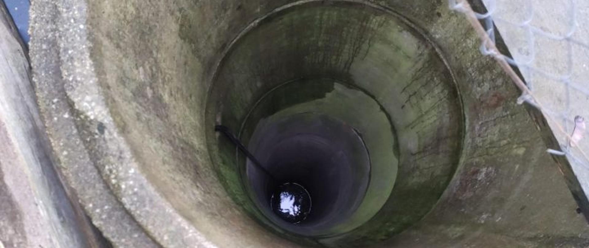 Widok w dół studzienki. Na dnie pies i woda.