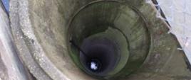 Widok w dół studzienki. Na dnie pies i woda.