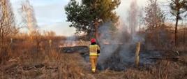 Na zdjęciu widoczny jest pożar trawy oraz strażak w trakcie gaszenia pożaru trawy przy użyciu tłumicy.