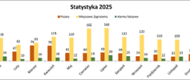 Grafika przedstawiająca statystykę wyjazdów za 2025 rok