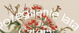 Na kremowym tle centralnie umieszczony obraz :roślina z czerwonymi kwiatami. Od góry tekst: Państwowa Szkoła Muzyczna I stopnia im Emila Młynarskiego w Augustowie zaprasza na koncert: Cztery pory roku - pożegnanie lata. W programie: Muzyka różnych kompozytorów: Victoria Rząca skrzypce, Karolia Zwiewka fortepian, Erazm Stefanowski autor poezji. Aranżacja wydarzenia - Krystyna Żelewska-Mirska, Autor fotografii - Aleksander Dziądziak. Sobota 21 września 2024 godz. 17:00 Sala Koncertowa PSM Augustów, ul. Wybickiego 1. Wstęp wolny. Koordynatorzy spotkania: Lidia Alicja Karpińska, Bożena Szumska Niewiadomska