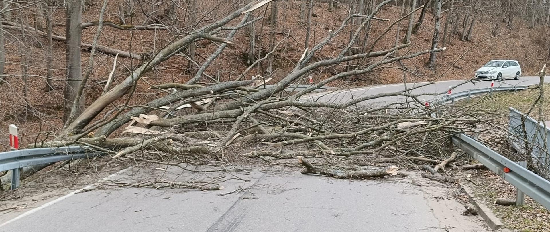 Połamane drzewo blokuje drogę