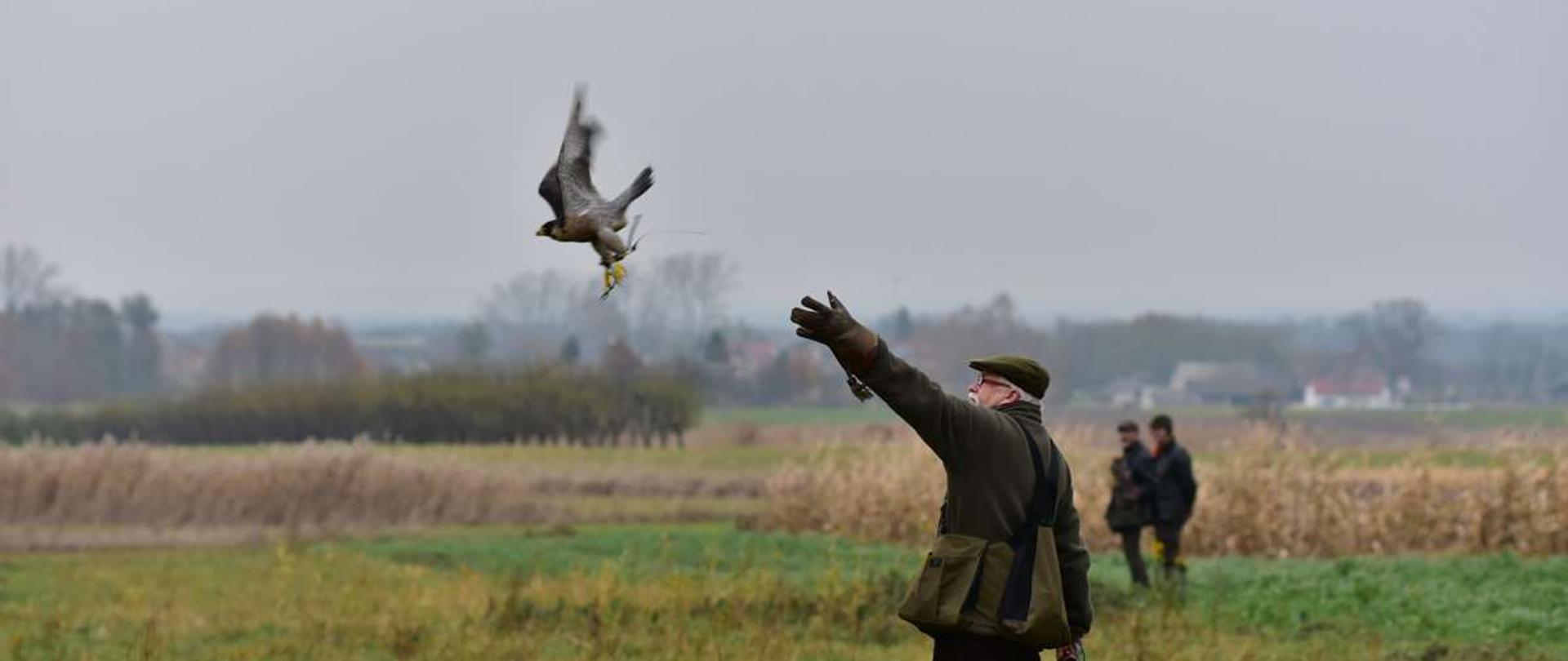 Polskie sokolnictwo wpisane na listę UNESCO
