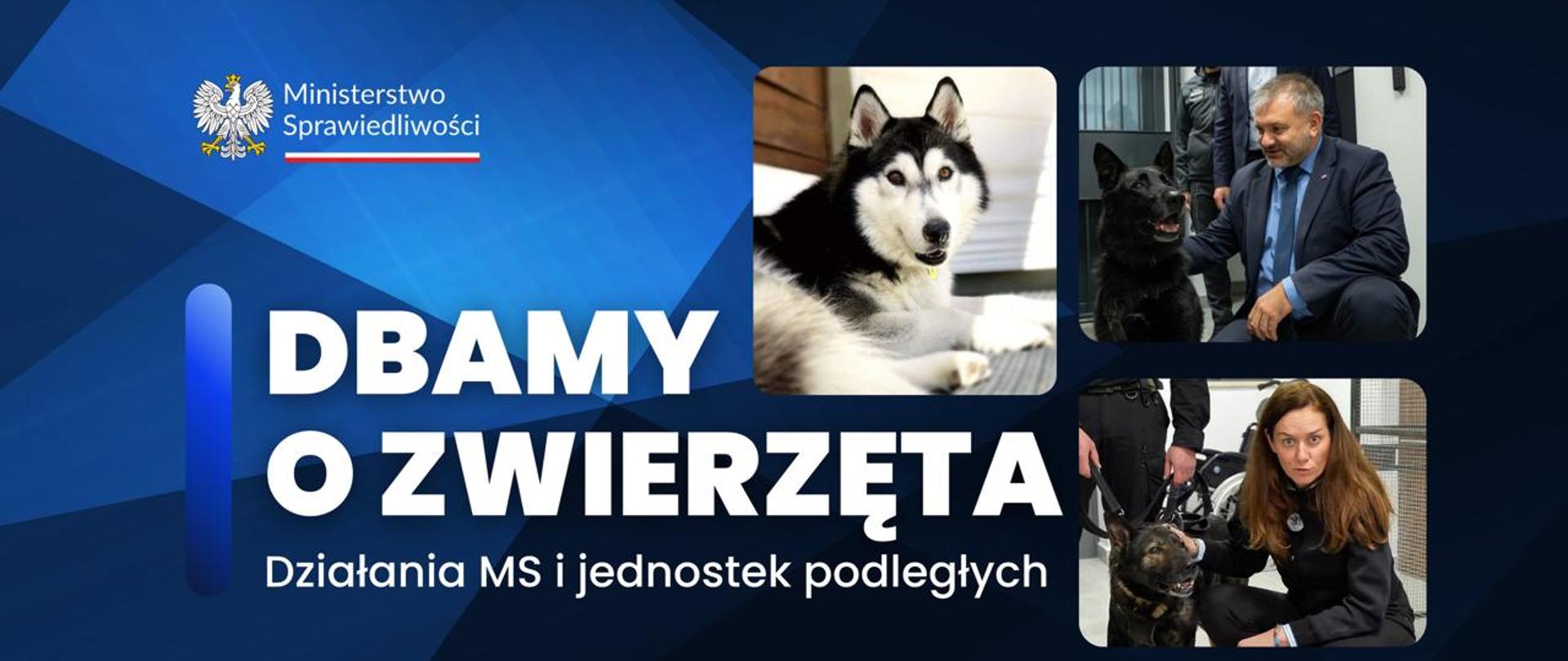 Ministerstwo Sprawiedliwości przyjazne zwierzętom: od kultury biurowej po reformy systemowe i więziennictwo