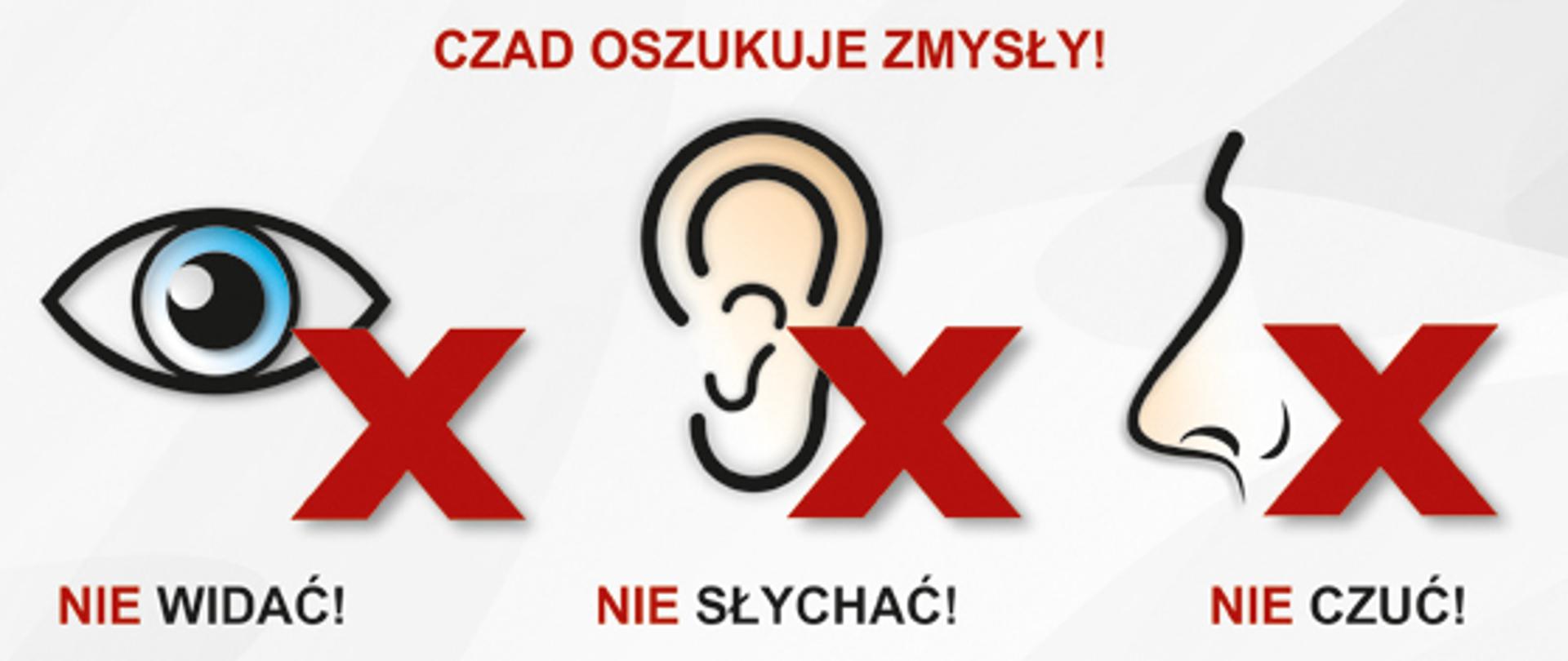 Czujka na straży Twojego Bezpieczeństwa