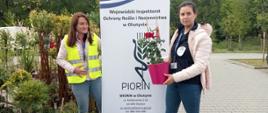Dwie kobiety stoją na placu po obu stronach baneru z napisem WIORiN w Olsztynie, jedna trzyma w rękach doniczkę z różą, po lewej stronie stoją rózne rośliny ozdobne w pojemnikach