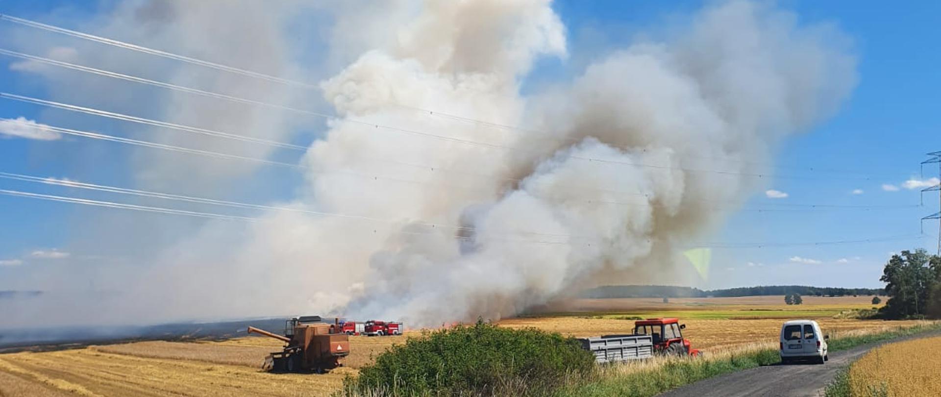 POŻAR ZBOŻA NA PNIU PRZY TRASIE SARBIA - MARUNOWO