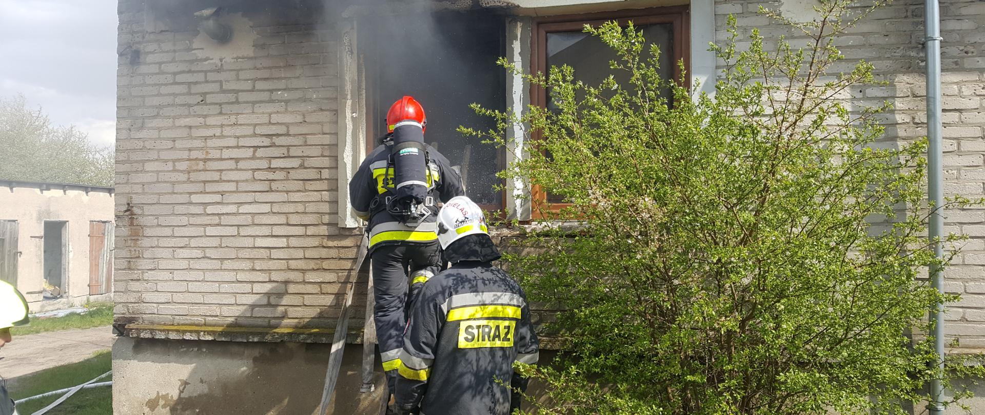 Zdjęcie obrazuje dwóch strażaków ubranych w umundurowanie specjalne w kolorze ciemno-granatowym z żółto-srebrnymi odblaskami. Strażacy mają założone hełmy, jeden z nich w kolorze czerwonym drugi zaś w kolorze białym. Strażak z czerwonym hełmem nosi na plecach również butlę w powietrzem i wchodzi po drabinie przez okno do palącego się mieszkania. Budynek jest parterowy, drabina oparta jest pod oknem, z którego wydobywa się ciemny dym. Okno ma wybitą szybę i wprowadzono przez nią węże pożarnicze. Budynek jest parterowy, nieotynkowany, widać cegłę wapienną z której jest zbudowany. W lewej części zdjęcia widać poprowadzoną na ścianie budynku stalową rynnę oraz zielone krzewy rosnące tuż obok.
