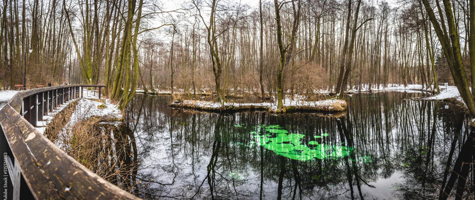 Niebieskie Źródła w Tomaszowie Mazowieckim zimą