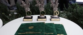 Statuetki dla szkół rolniczych za najciekawsze stoisko