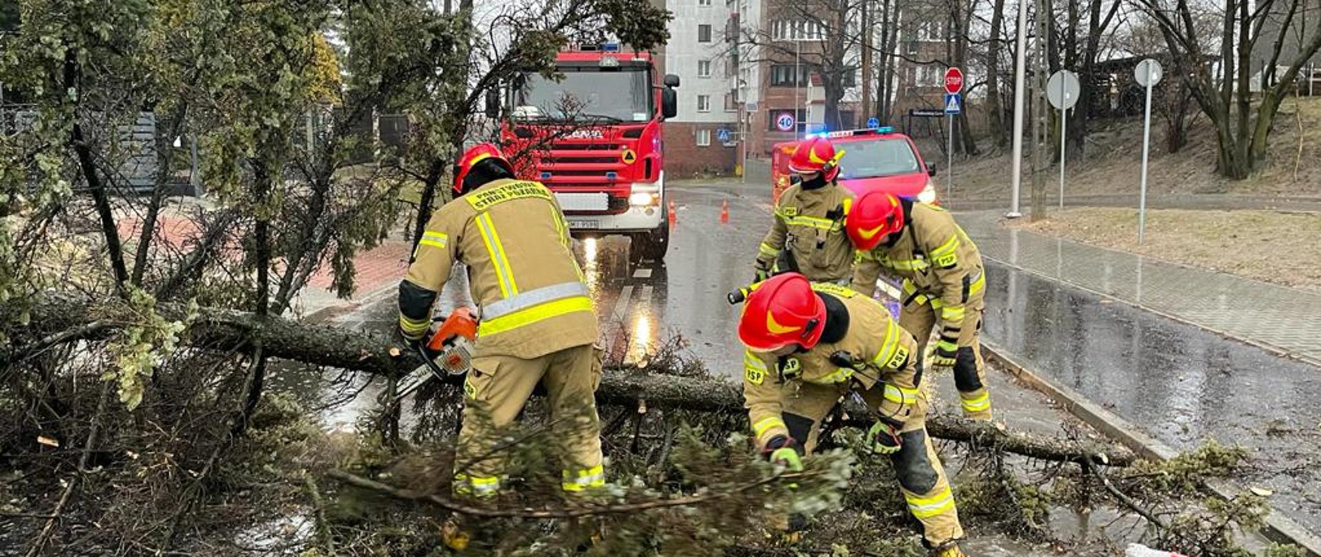 usuwanie skutków przejścia Orkanu Dudley nad powiatem mikołowskim