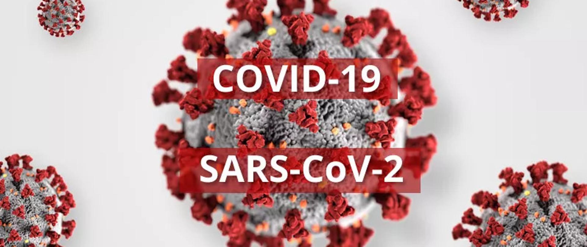 COVID-19 SARS-CoV-2