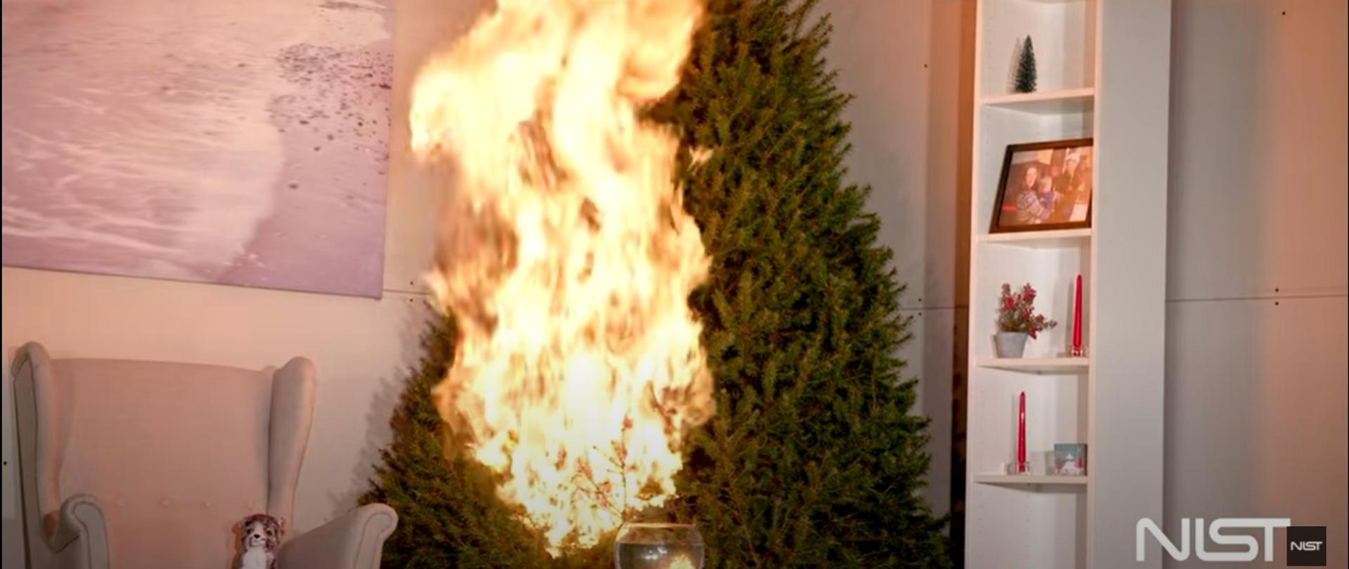 Zielona choinka stojąca w pokoju w połowie objęta płomieniem