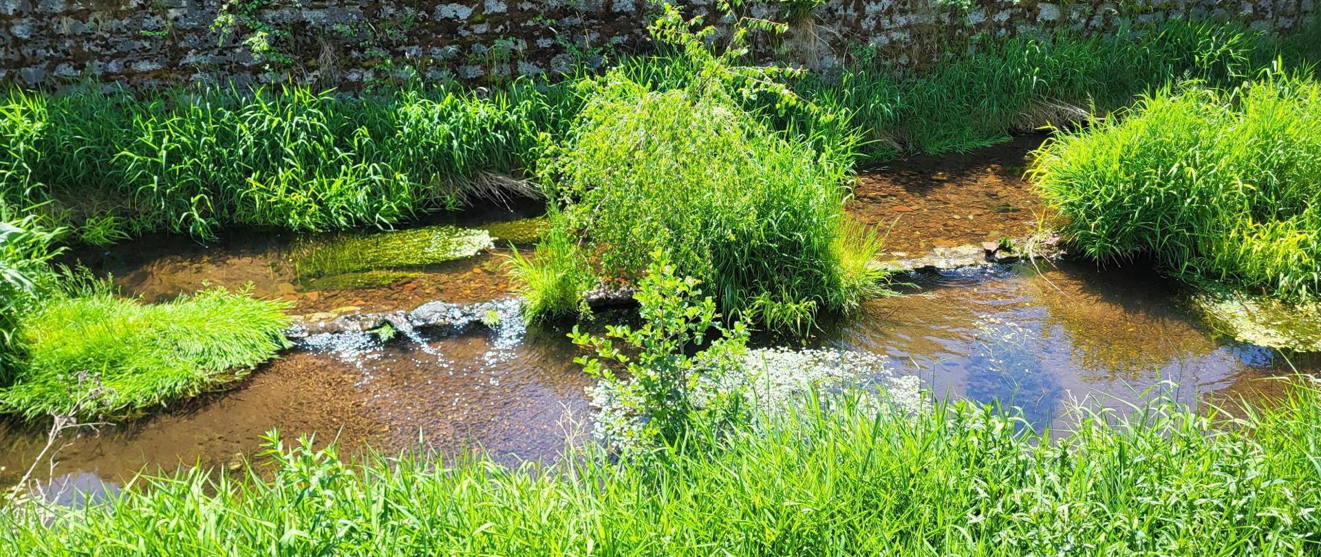 Spotkanie wrocławskich Wód Polskich z władzami Mieroszowa.
