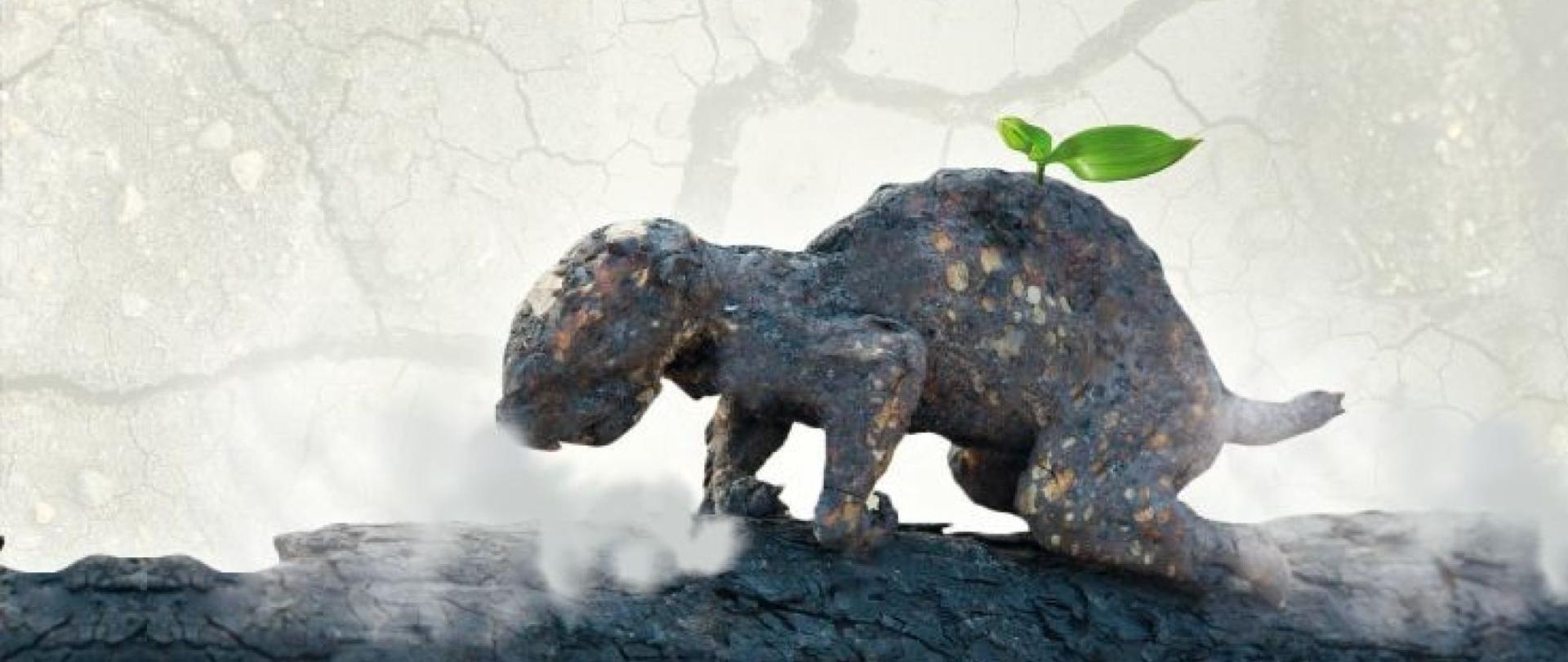 spalone gałąź a na niej przypominający zwierzę konar, tez spalony 