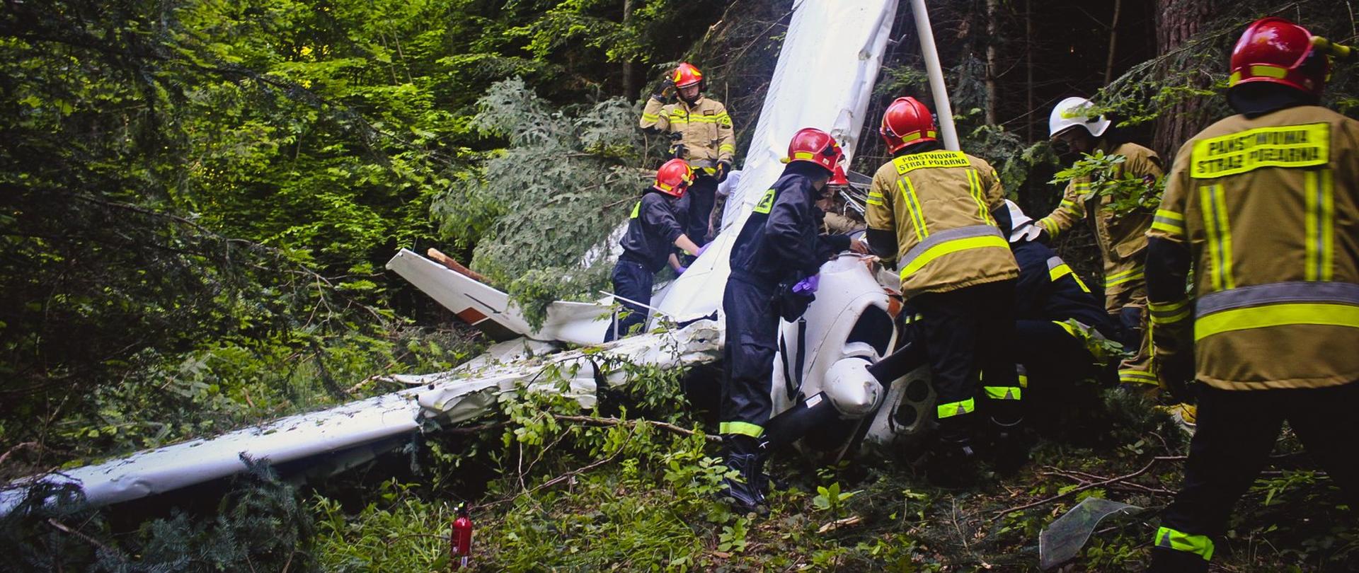 Strażacy prowadzą działania ratownicze przy wraku rozbitej awionetki