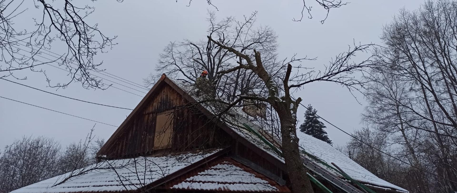 Powalone drzewa na skutek opadów śniegu 