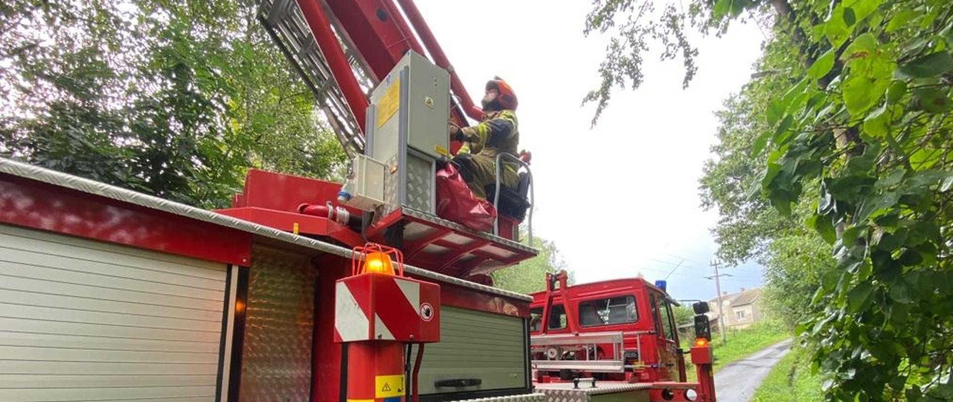 Na zdjęciu widoczny czerwony samochód specjalny pożarniczy podnośnik hydrauliczny i operator strażak w ubraniu pisakowym i czerwonym hełmie podczas akcji związanej z usuwaniem uszkodzonego drzewa przez wiatr.